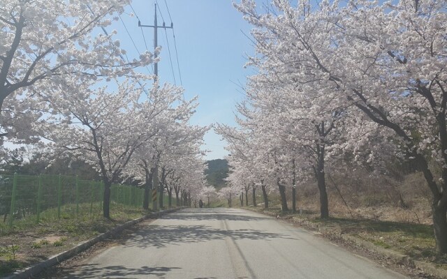 Gochang Healing County