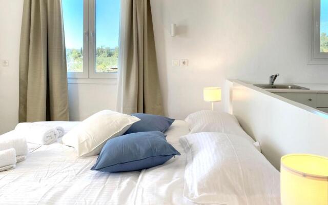 Palm Suite Blue