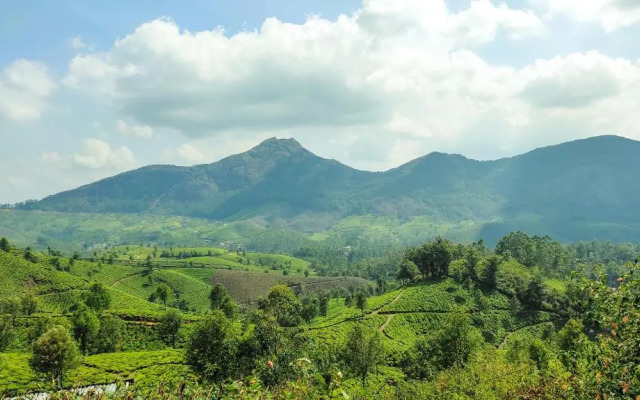 Munnar valley view