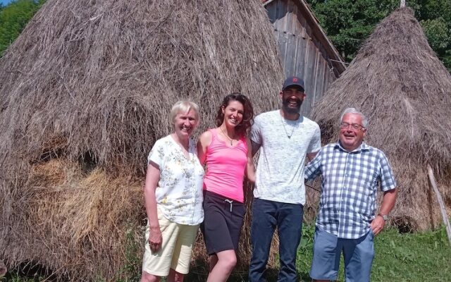 Room in Guest Room - Rural Holiday Transylvania