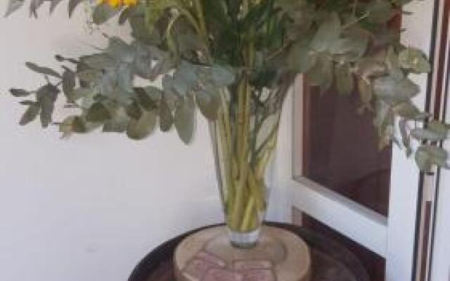 Ziggy's Mountain Retreat