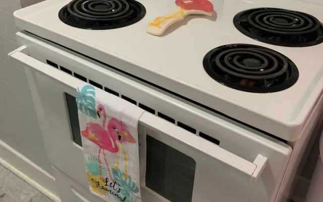 Funky Flamingo
