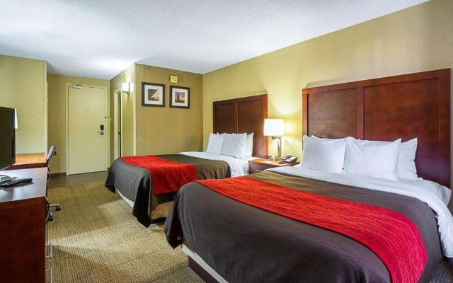 Comfort Inn Downtown