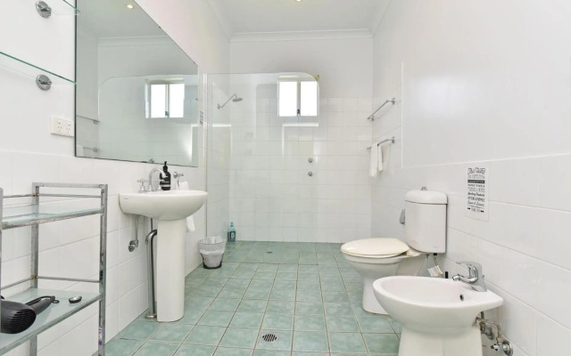 Olives and Vines at Majors Lane