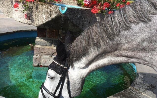 Pension Silberdistel