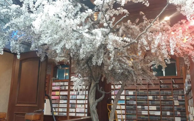 Seoraksan Bandalgom