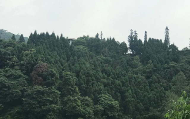 Mount Emei Feng Lin Yue Hotel