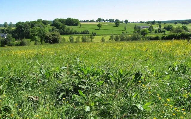 Chic Holiday Home In Pont Malmedy With Sauna Terrace Bbq