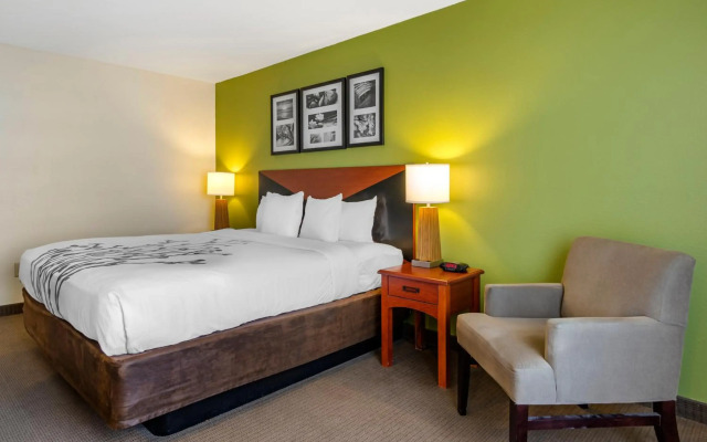 Sleep Inn & Suites Stockbridge Atlanta South