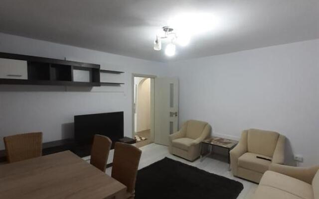 Apartament confortabil în Bucovina