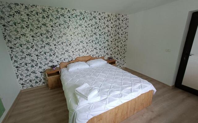 Casa NICHIFOR Jurilovca