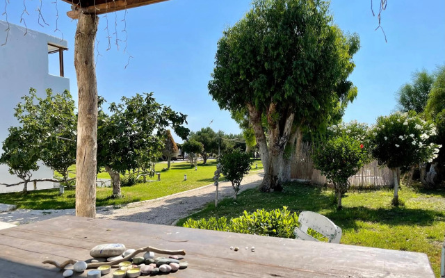 Eco Beach and Magic Garden