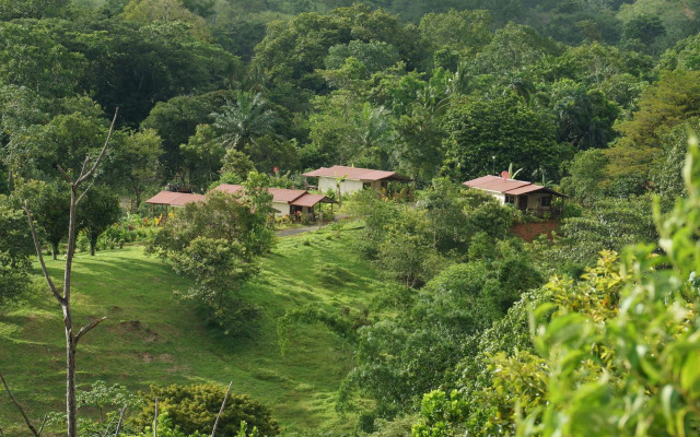 Rancho Las Tilapias