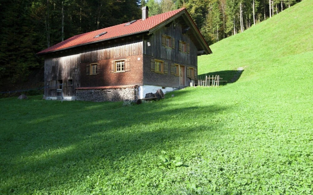 Charming Holiday Home in Bizau Near Ski Area