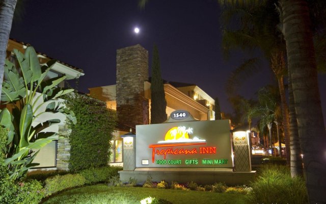 Tropicana Inn and Suites