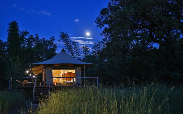 The Untamed Bandhavgarh by TUTC