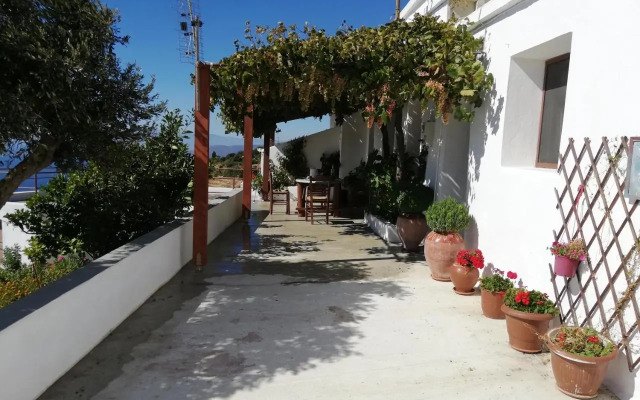 Lorentzia House 2 !