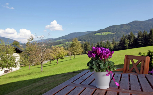 Lush Holiday Home in Hüttau near Ski Area