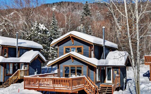 Chalets Alpins - 12 Chemin Alpin