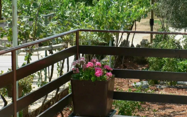 Apartman Mare