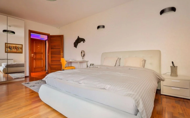 Wild Orchids of Bucharest