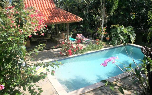 Casa Tropical