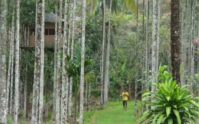 Pappys Nest Holiday Resort