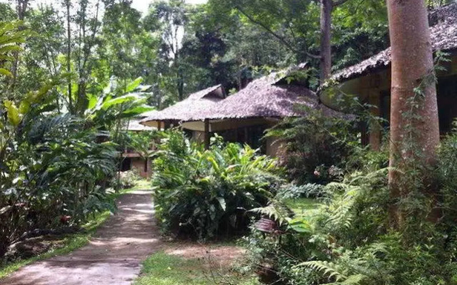 The Natural Healing Spa Retreat