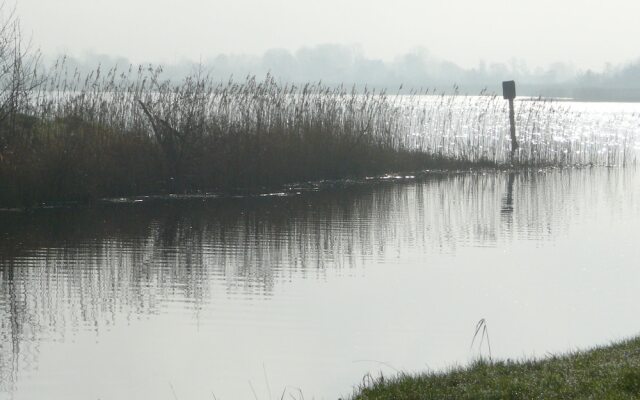 Inviting 4-bed House in Strokestown