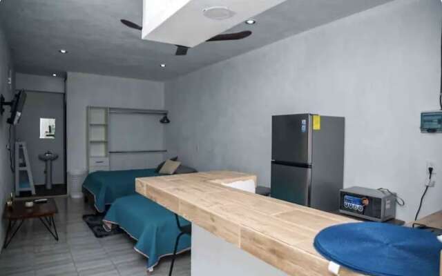 Studios erizo