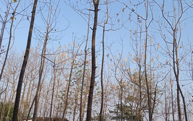 Nepal Himalayan Paulownia Resort