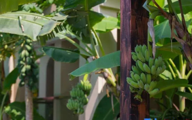 Xishuangbanna Lanzhu Villa Hotel