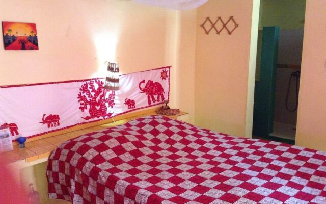 Baobab Belge