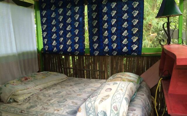 Hedonisia Hawaii Eco-Hostel Community