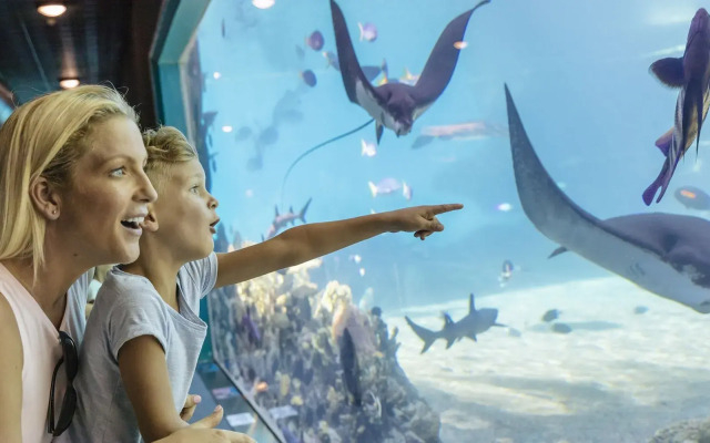 Sea World Resort
