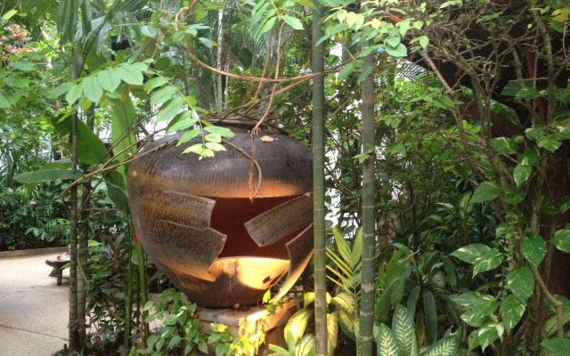 White House Beach Resort And Spa