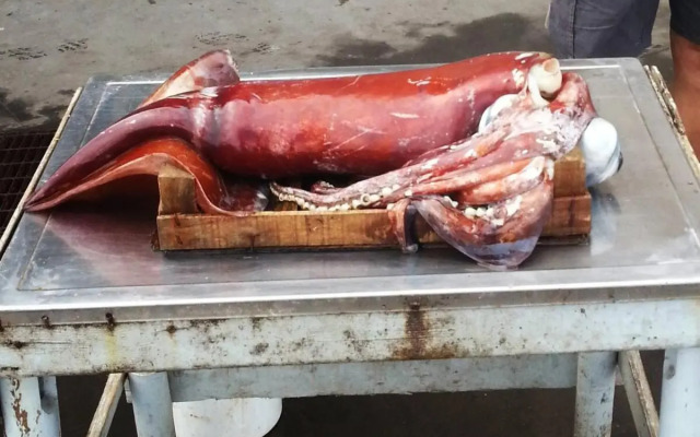 Smart Apartment by the Sea near Palermo, Sicily