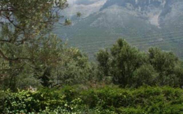 Grandma Athinas House