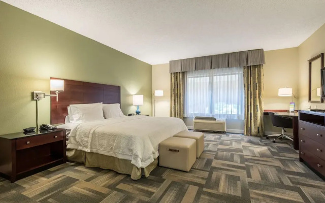 Hampton Inn  Suites Orlando-South Lake Buena Vista