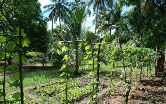 Kuda Oya Cottage