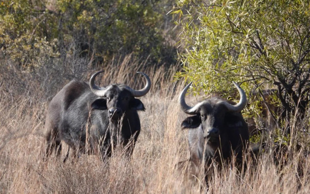 Shakama Private Game Lodge & Spa