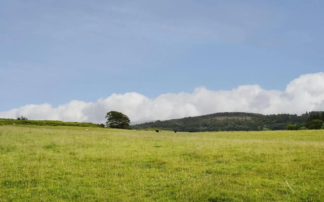 Conifers Leisure Park