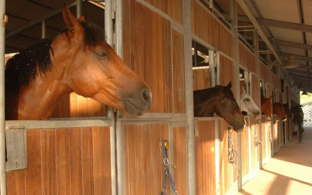 Hotel Il Parco degli Ulivi