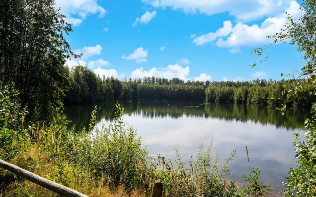 Forest-view Mansion, Hainaut