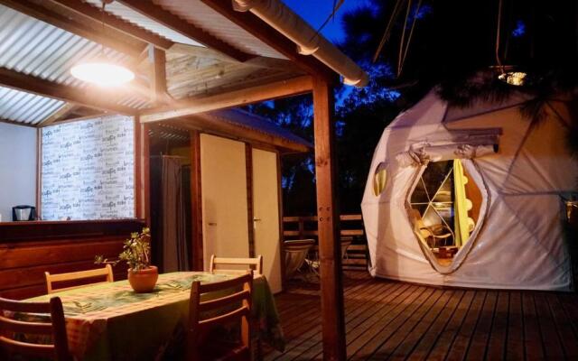 Bubble Dome Village- Glamping