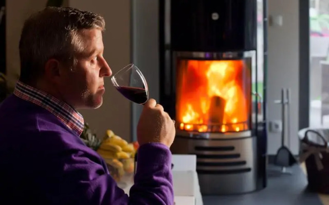 Domizil am Ostseewald - Silberweide