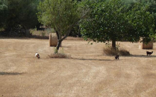 Finca Sa Coma