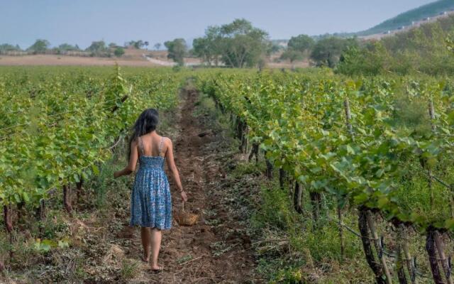 SaffronStays Onellaa, Nashik - infinity pool villa surrounded by a vineyard