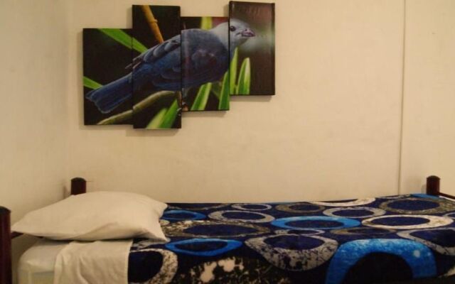 Hostal Casa del Loro - Hostel
