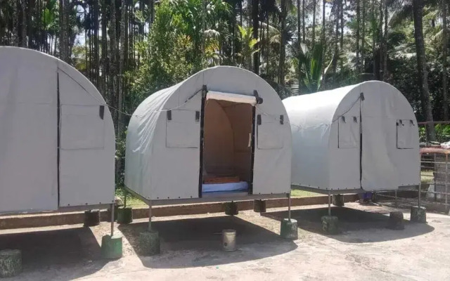 Rising Surya Homestay